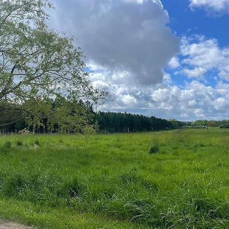 Gite Le Village Des Champs Soings-en-Sologne Bagian luar foto