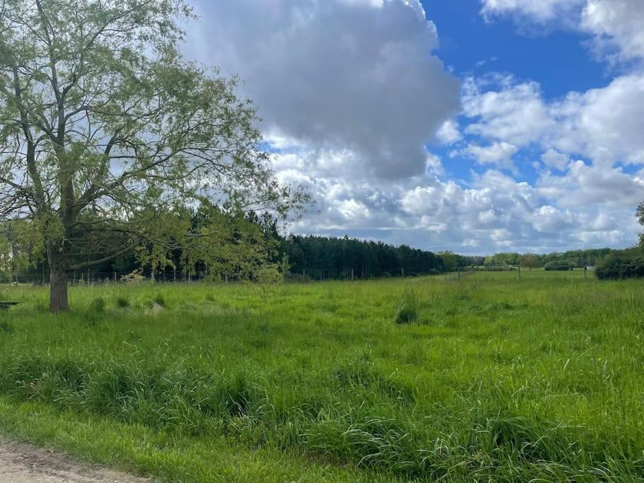 Gite Le Village Des Champs Soings-en-Sologne Bagian luar foto